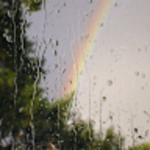 Meet your Posher, Rebekkah